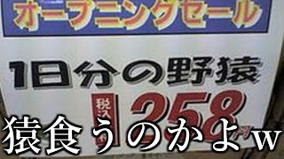 【神回】なぜか起きてしまった誤字が野菜の間違いでは？ｗｗｗｗｗ