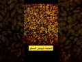 الحلبه لمريض السكر الحلبه لمريض السكر