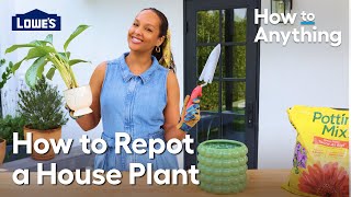 How to Repot a House Plant | How To Anything