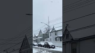 A soft, white blanket, transforming everything into a serene winter scene.#snowfall #usa #snowusa screenshot 4