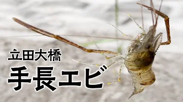 木曽川立田 木曽川立田