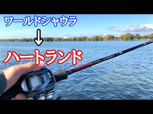 HEARTLAND LEVEL DIRECTION ダイワ ハートランド HEARTLAND 冴掛 LEVEL DIRECTION インプレ - Trip to the