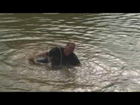 AMELIA BLUEGRASS FESTIVAL MAY 15 BRENDA GETS WET