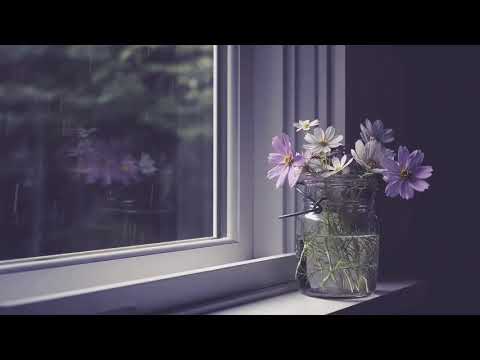 حالات واتس فيروز أديش كان في ناس