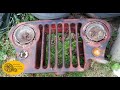 1950's Willys Jeep Grill  [Man Cave Light]