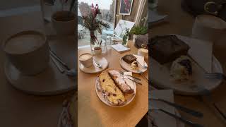 Bir Fincan Kahve, Bir Dilim Tatlı: Hayatın Tadı