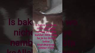 Aaye jab mere aaqa 🥰👍💫#trending #viral #YouTube evend 😄😄