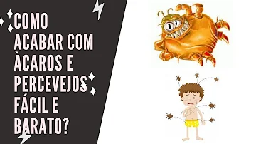O que pode causar um percevejo?