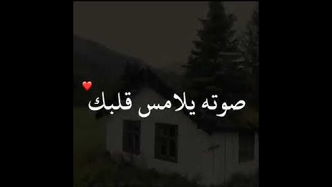 قرآن كريم بصوت وديع اليمني   حالات واتس اب دينية   مقاطع دينية قصيرة360P