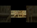part-3CARTER'S W.A.RS2 E5 CAPTUR The Animal club | African animal documentary in Hindi#wildlife