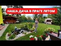 НАША ДАЧА В ПРАГЕ. ПРИУСАДЕБНЫЙ УЧАСТОК В ЧЕХИИ. НАШ ОГОРОД