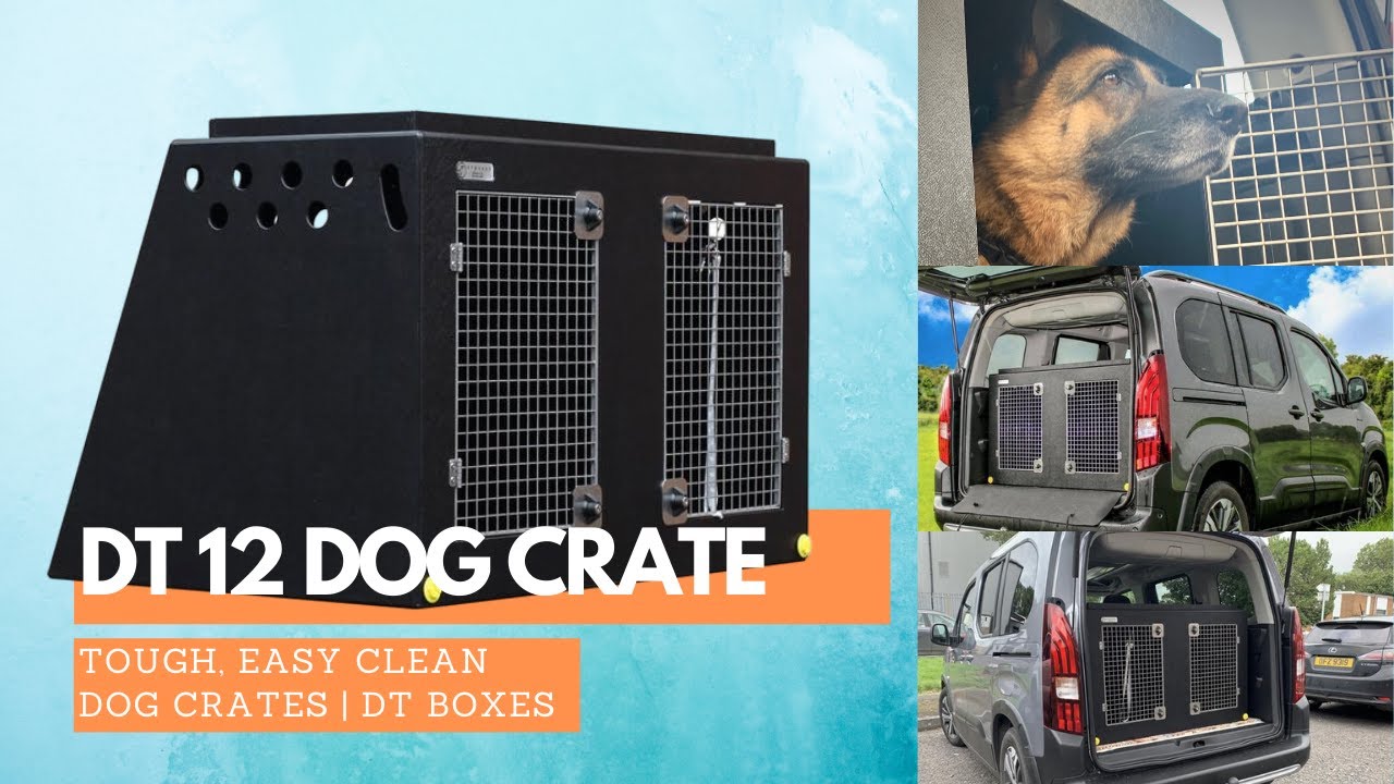dt dog boxes
