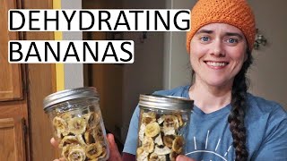 Dehydrating Bananas and Making Banana Fruit Leather | Fermented Homestead