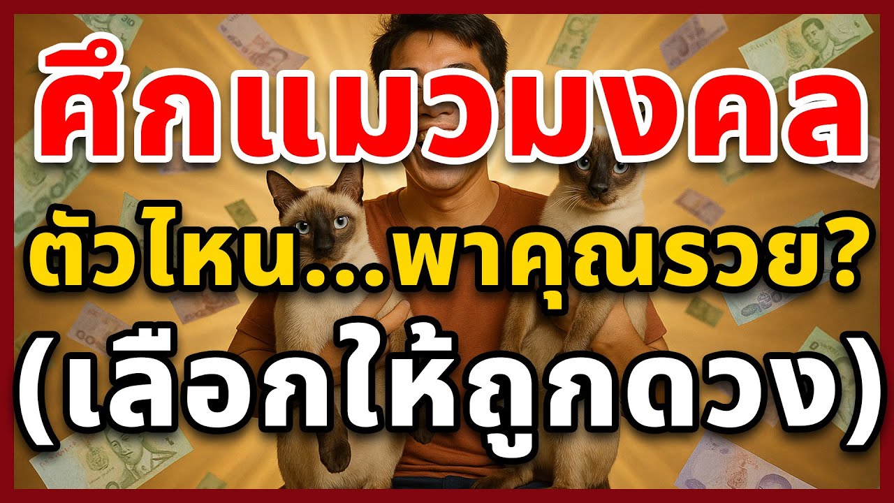 สีสวาด VS วิเชียรมาศ: แมวไทยชนิดไหน 