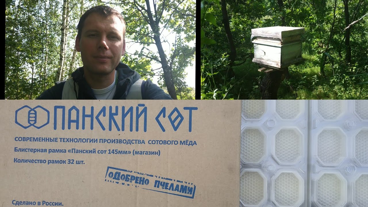 14.07.2020 г. Панский сот. Современные технологии в производстве ...