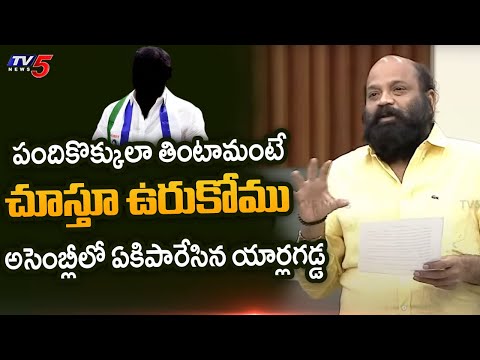 ఎవ్వడికి అర్హత లేదు | Gannavaram MLA Yarlagadda Venkata Rao SENSATIONAL COMMENTS on YSRCP | TV5 News - TV5NEWS