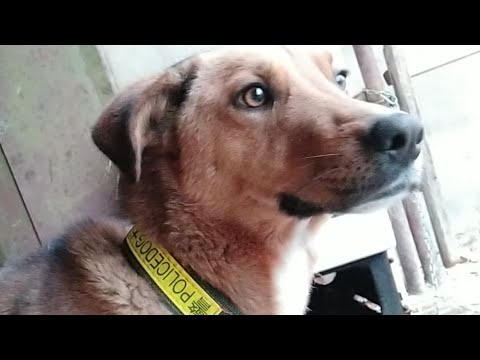 ესეც ასეეეე.....