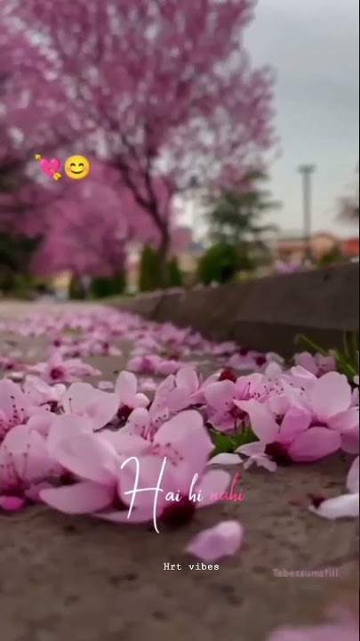 Dhal jaun mein 🖤😭🔥...#shorts #sad#sadstatus#sadlovestatus #ytshorts#whatsappstatus#fullscreenstatus