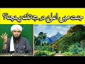 ЁЯШН Jannat Main Darja Bandi Jannat Main Darjat Ki Bulandi тЩея П Engineer Muhammad Ali Mirza ЁЯШН Jannat Main Darja Bandi Jannat Main Darjat Ki Bulandi тЩея П Engineer Muhammad Ali Mirza