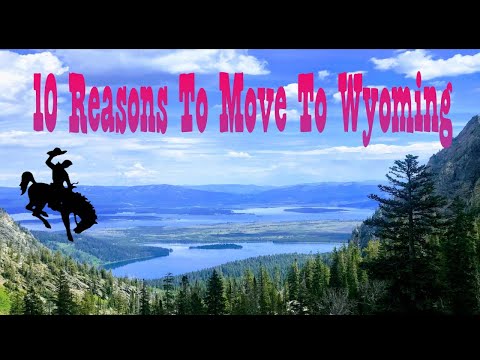Top 10 Reasons