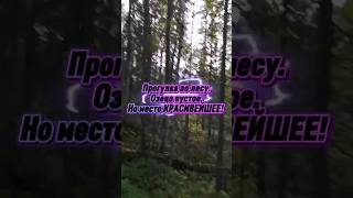 ЛЕС ДО ИСТОРИЧЕСКИЙ. КРАСОТА НЕОПИСУЕМАЯ! #природа #природасеверногокрая #живаяприрода #лесноеозеро