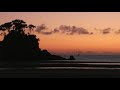 Birdsong of Abel Tasman National Park, New Zealand