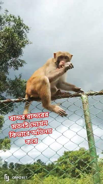 #unfrezzmyaccount #dj #song #music #love #dj_bangla_gan #dj_sathi #dj_imran #romantick_dj