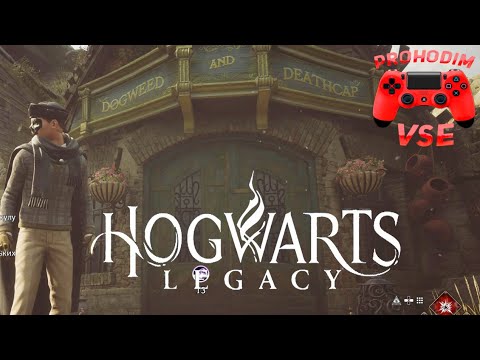 задача профессора чесноук 1 \\ hogwarts legacy ядовитая тентакула \\ hogwarts legacy мандрагора