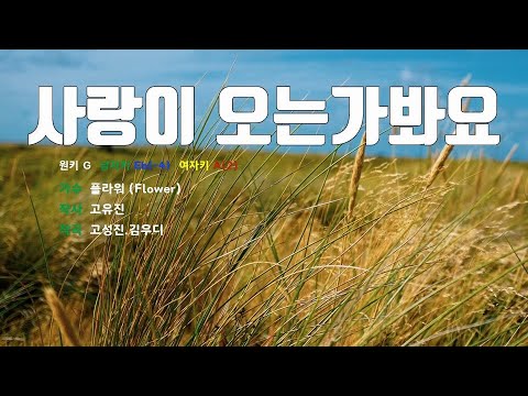 [은성 반주기] 사랑이오는가봐요 - 플라워(Flower)