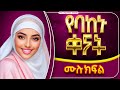 የባከኑ ቀናት ሙሉ ክፍል Amin Media Amin Multimedia Production Elaf Tube Ebstv Nejah Media LijTofik