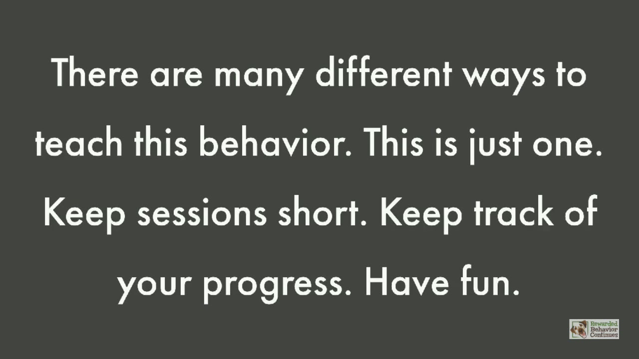 Train With Us by Rewarded Behavior Continues
