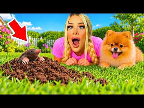 I HAVE A MOLE IN MY GARDEN 😱