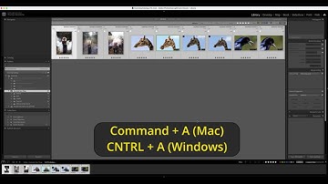 Lightroom Classic For Beginners Part 4 - Incoming Catalog Workflow - Outprocessing