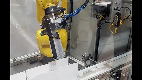 Robotic Loader for Auto-Bottom Cartons with Carton Top Closer