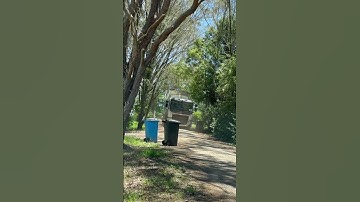 Ballina garbage (Christmas season!)