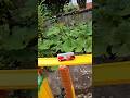 トミカ⭐はしご消防車のミニカーが坂道を走る走行試験! Tomica ⭐ Miniature Toy Car run a slope!! DRIVE TEST #そるちゃんねる #satisfying