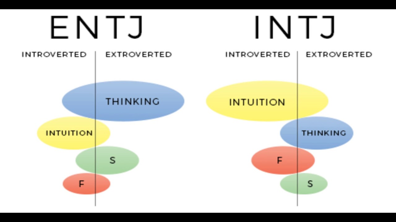 Entj a тип личности