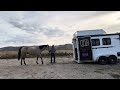 Trailer loading ranger 