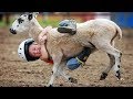 FUNNIEST KIDS and TODDLERS with FARM ANIMALS Compilation - Haven't seen better yet! LAUGH with us!