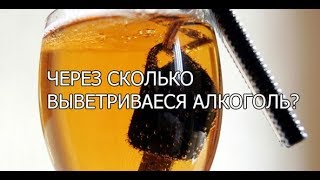 Через сколько выветривается алкоголь из организма Через сколько выветривается алкоголь из организма
