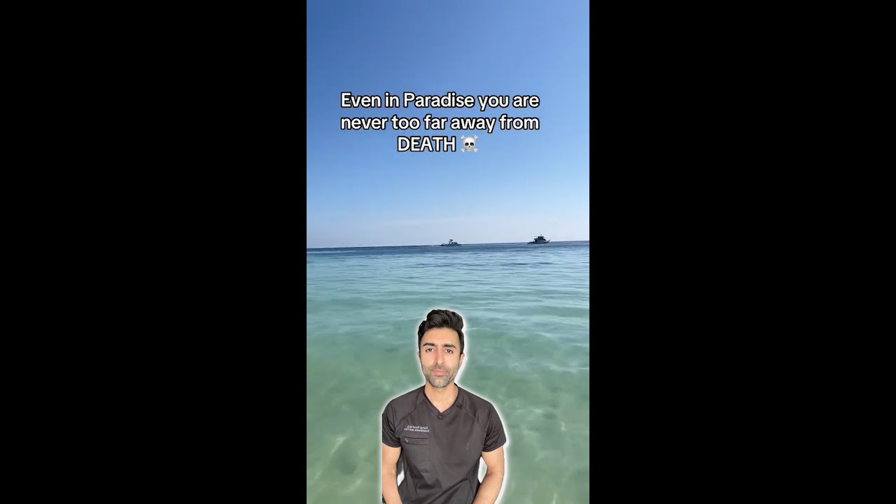 Why Stonefish Are So Dangerous