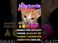 #gatos #jesusdenasaret #seriecristiana #seriecristiana #jesusdenazaret #per #vidaeterna #reflexion