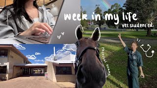 STUDY VLOG | a week in my life as a veterinary medicine student ‍⚕