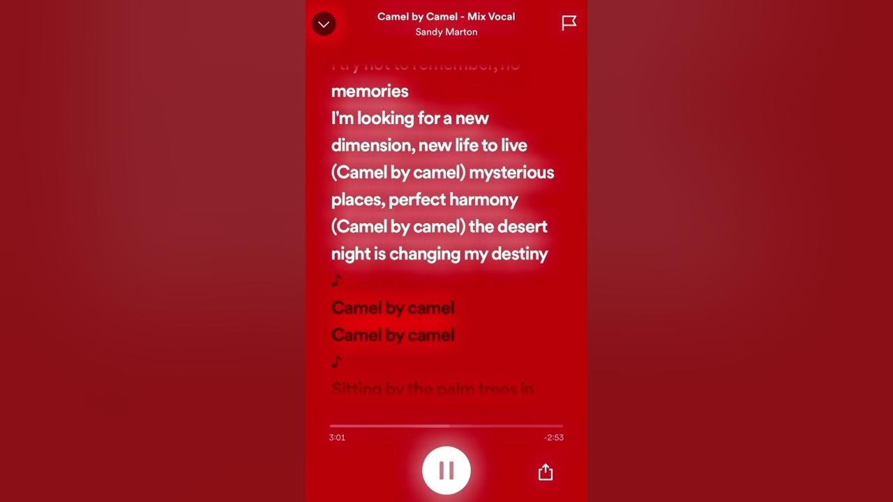 camel by camel(sped up+lyrics) YouTube