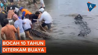 Bocah 10 Tahun di Kalimantan Tengah Diterkam Buaya Saat Mandi di Sungai