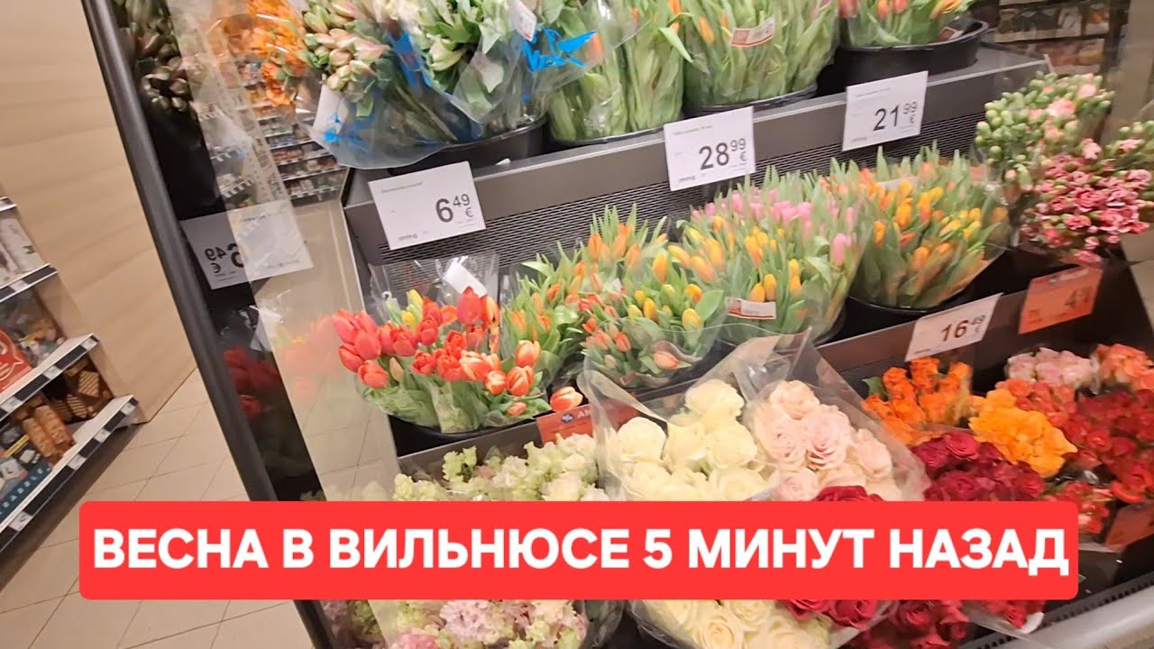 [Жизнь в Литве]В Вильнюсе запахло Весной/Весенние товары