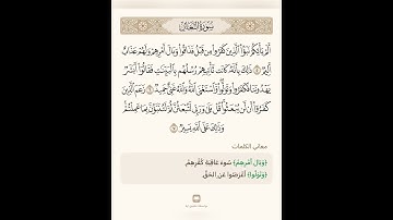 السراج في بيان غريب القران سورة التغابن 2 تلاوة الشيخ سعد الغامدي