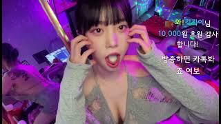 baerasoni stream 배라소니