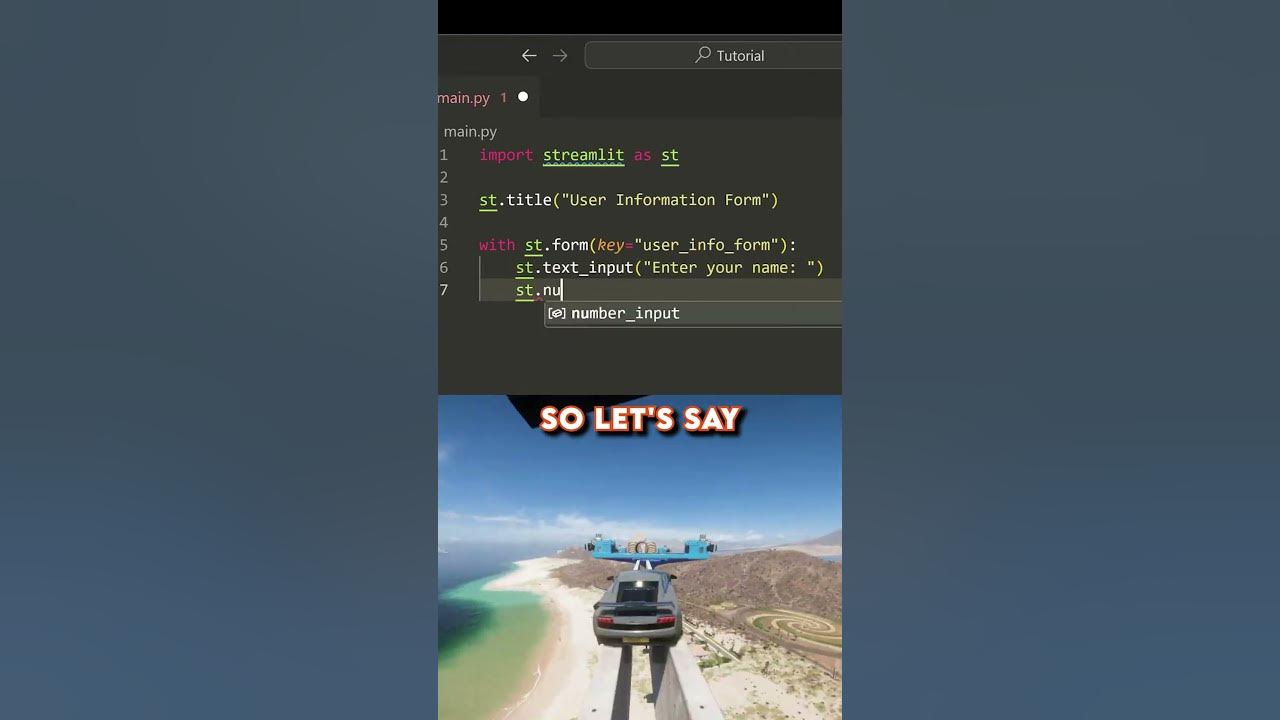 How to create a form in Streamlit Python - YouTube