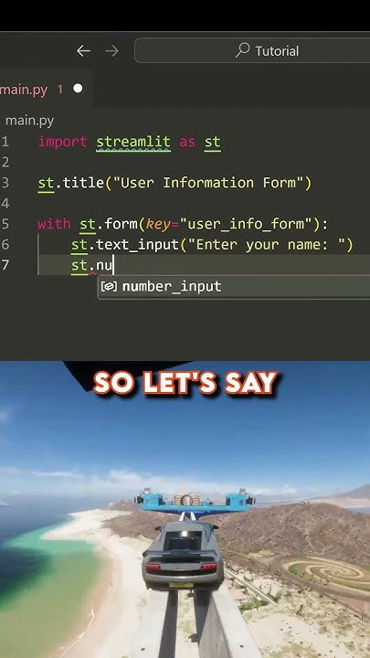 How to create a form in Streamlit Python - YouTube